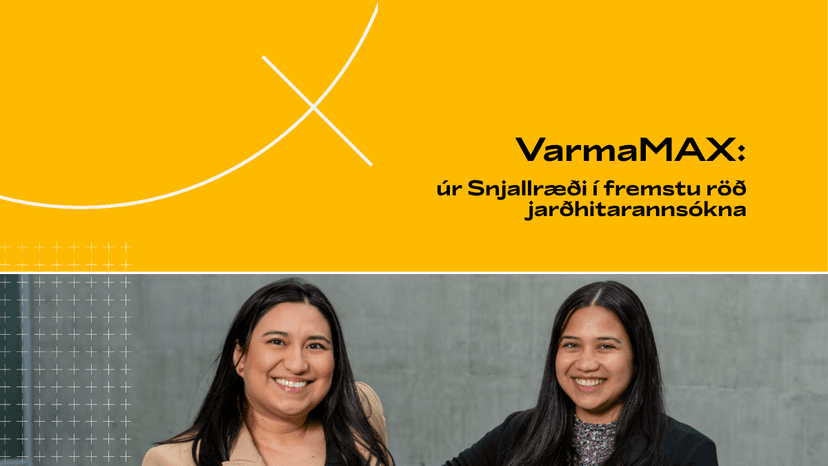VarmaMAX-teymið úr Snjallræði í fremstu röð jarðhitarannsókna